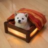 こたつ犬🐕🤖's profile picture