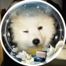 Фото профиля ซอ⋆.˚ ☾⭒.˚