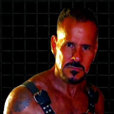 DogAtivo's profile picture