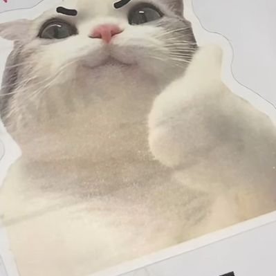 bunnyfart06's profile picture