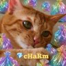茶トラねこ💎🍯's profile picture