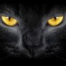 Cafajjjest's profile picture