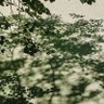 Фото профиля ﴿ وَاغْفِرْ لِأَبِي ﴾