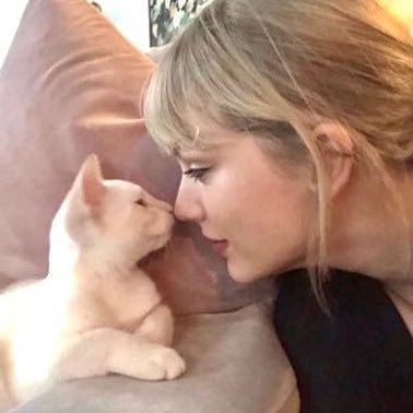 dailytaylorteaa's profile picture