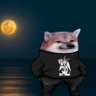 Satan the 9th's profile picture