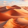 Riyadh. city's profile picture