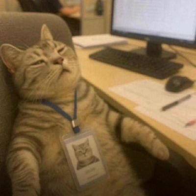 ygyesie's profile picture
