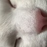 gonguang's profile picture