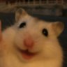 peony's profile picture