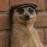 Tosin's profile picture