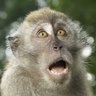 Weru's profile picture