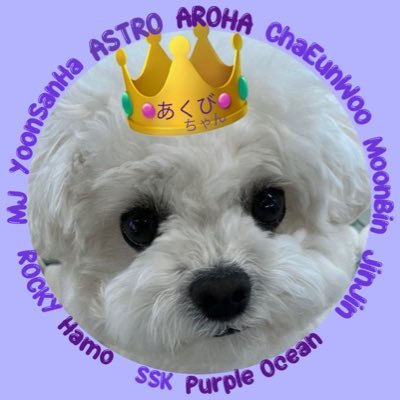 ✰あくびちゃん✰︎'s profile picture