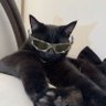 Naris🍉 profil fotoğrafı