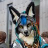 Фото профиля Tokala Tarka 🦊🦊