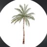 Profilbild von ْ