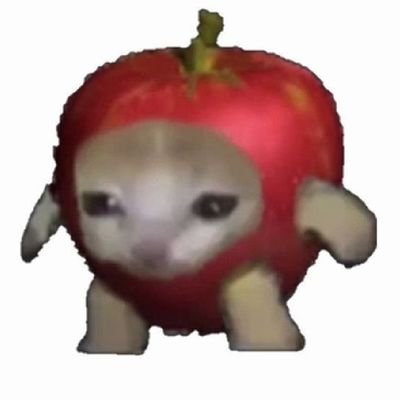 orbitanalua's profile picture