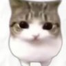 我不知道's profile picture