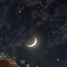 نمار عبدالله محمد's profile picture