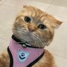 asa profil fotoğrafı