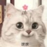Фото профиля 左拳伤害高&右拳高伤害