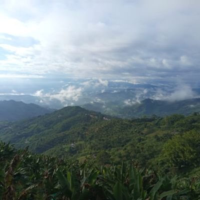cacheticolorada's profile picture