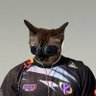 LA LUDE's profile picture