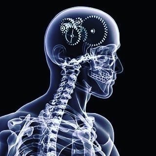 AnatomyVid's profile picture