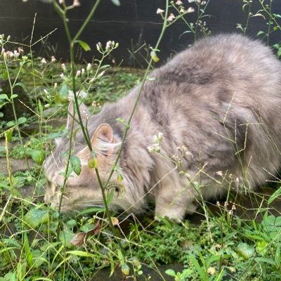 Dan's profile picture