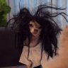 Ximena's profile picture
