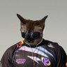 KC Nobu profil fotoğrafı
