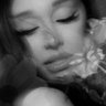 Profilbild von ꕤ