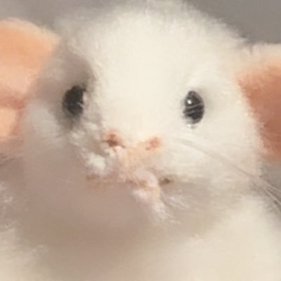 ねねちゃんねるちゃんねる's profile picture
