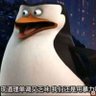 sqlist's profile picture