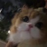 Charlotte's profile picture