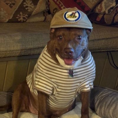 karl anthony townes van zandt's profile picture