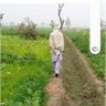 Aftab Chaudhry 的头像