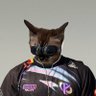 Profilbild von KC Lucasdefqon