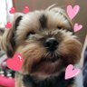 ~Ran~'s profile picture