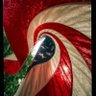 KimmiePoet's profile picture