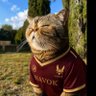YaYa profil fotoğrafı
