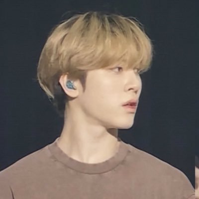 lvlypani's profile picture