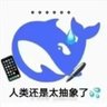 花朝 profil fotoğrafı