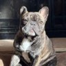 Sara's profile picture