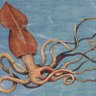 giant squidⓋ profil fotoğrafı