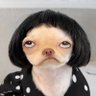 𝐁𝐥𝐚𝐜𝐤𝐔𝐧𝐢𝐜𝐨𝐫𝐧🦄's profile picture