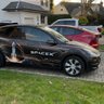 Tesla S3XY's profile picture