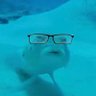 Profilbild von LyukTheFish🐟