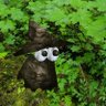Profilbild von DUST