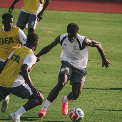JACK🇸🇳⭐️⭐️🇩🇿🇪🇬🇨🇩's profile picture
