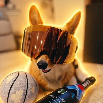 Air Corgi's profile picture